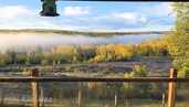 Paid live-in childcare and household helper Canada - MM.LV - 3