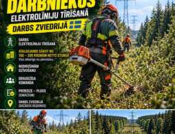 Aicina darbā mežstrādniekus - MM.LV
