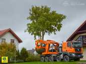 Lielu koku pārstādīšana - MM.LV - 2