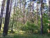 Land property in Ventspils and district. - MM.LV