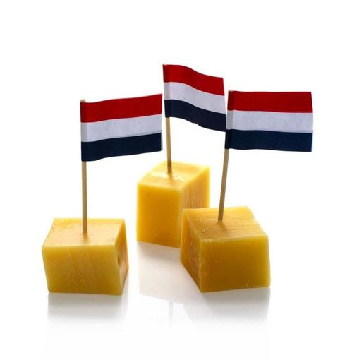 Darbs siera fabrikās Nīderlandē - MM.LV
