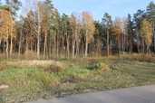 Land property in Riga district, Kalngale. - MM.LV