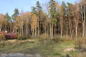 Land property in Riga district, Kalngale. - MM.LV - 2