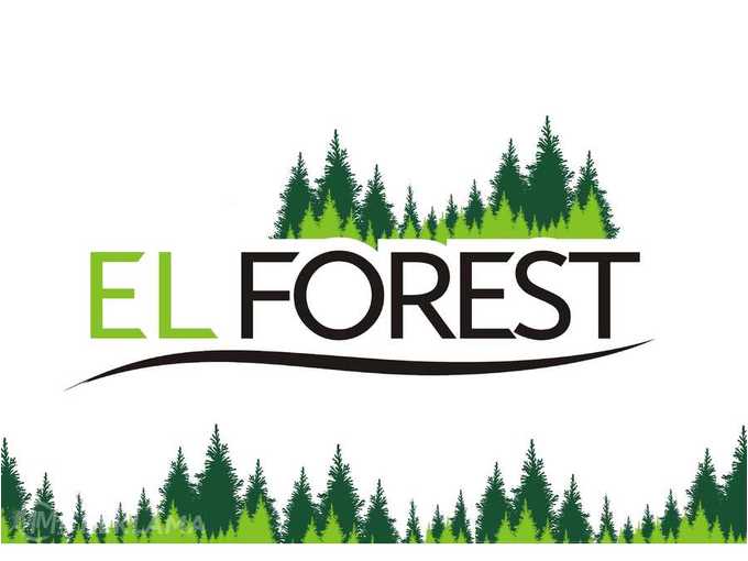 Latvijas uzņēmums EL Forest par augstākām cenām pērk mežus - MM.LV