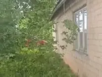 Земельный участок в Краславе. - MM.LV